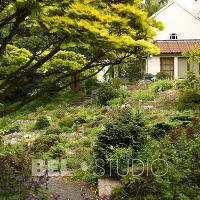 Branklyn Garden.  Шотландия. Перт