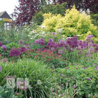 Glen Chantry Garden. Англия