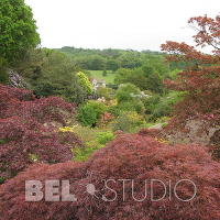 Scotney Castle Garden. 