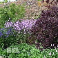 Sissinghurst Castle Garden. Англия