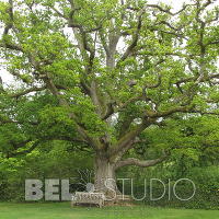 Англия. Scotney Castle Garden