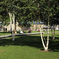 Пит Удольф, Potters Fields Park, Лондон, Англия