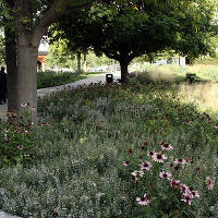 Пит Удольф, Potters Fields Park, Лондон, Англия