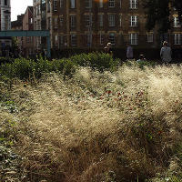 Пит Удольф, Potters Fields Park, Лондон, Англия