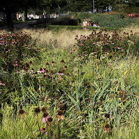 Пит Удольф, Potters Fields Park, Лондон, Англия