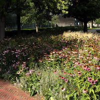 Пит Удольф, Potters Fields Park, Лондон, Англия