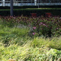 Пит Удольф, Potters Fields Park, Лондон, Англия