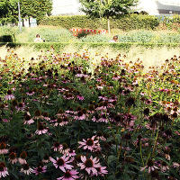 Пит Удольф, Potters Fields Park, Лондон, Англия