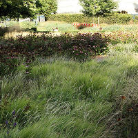 Пит Удольф, Potters Fields Park, Лондон, Англия