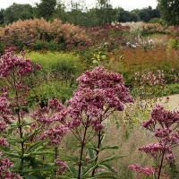 Pensthorpe Millenium Gardens. Сад Миллениум. Дизайнер Пит Удольф