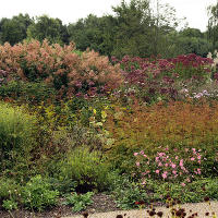 Pensthorpe Millenium Gardens. Сад Миллениум. Дизайнер Пит Удольф