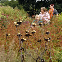 Pensthorpe Millenium Gardens. Сад Миллениум. Дизайнер Пит Удольф