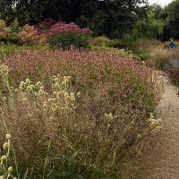 Pensthorpe Millenium Gardens. Сад Миллениум. Дизайнер Пит Удольф