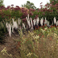 Pensthorpe Millenium Gardens. Сад Миллениум. Дизайнер Пит Удольф