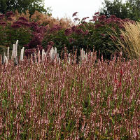 Pensthorpe Millenium Gardens. Сад Миллениум. Дизайнер Пит Удольф