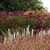 Pensthorpe Millenium Gardens. Сад Миллениум. Дизайнер Пит Удольф