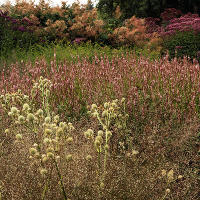 Pensthorpe Millenium Gardens. Сад Миллениум. Дизайнер Пит Удольф