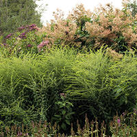 Pensthorpe Millenium Gardens. Сад Миллениум. Дизайнер Пит Удольф