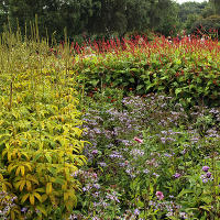 Pensthorpe Millenium Gardens. Сад Миллениум. Дизайнер Пит Удольф