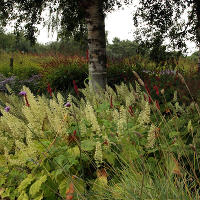 Pensthorpe Millenium Gardens. Сад Миллениум. Дизайнер Пит Удольф