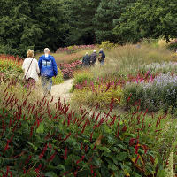 Пит Удольф Pensthorpe Millenium Gardens. Сад Миллениум