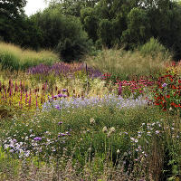 Пит Удольф Pensthorpe Millenium Gardens. Сад Миллениум