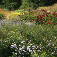 Пит Удольф Pensthorpe Millenium Gardens. Сад Миллениум