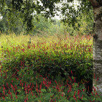 Pensthorpe Millenium Gardens. Сад Миллениум. Дизайнер Пит Удольф