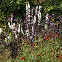 Пит Удольф Pensthorpe Millenium Gardens. Сад Миллениум