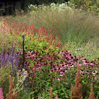 Пит Удольф Pensthorpe Millenium Gardens. Сад Миллениум