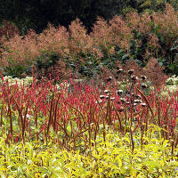 Pensthorpe Millenium Gardens. Сад Миллениум. Дизайнер Пит Удольф