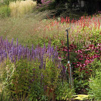 Пит Удольф Pensthorpe Millenium Gardens. Сад Миллениум