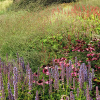 Pensthorpe Millenium Gardens. Сад Миллениум. Дизайнер Пит Удольф