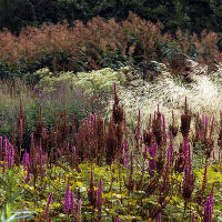 Пит Удольф Pensthorpe Millenium Gardens. Сад Миллениум