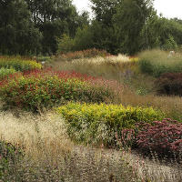 Пит Удольф Pensthorpe Millenium Gardens. Сад Миллениум