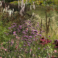 Пит Удольф Pensthorpe Millenium Gardens. Сад Миллениум