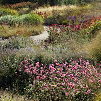 Пит Удольф Pensthorpe Millenium Gardens. Сад Миллениум