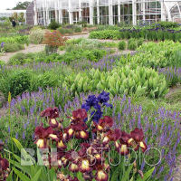 RHS Wisley