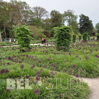 RHS Wisley