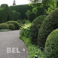 Topiary. Крис Геселен  