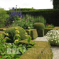 Topiary. Крис Геселен  