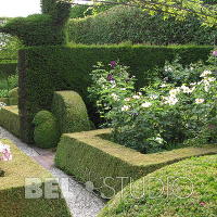 Topiary. Крис Геселен  