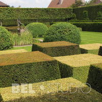 Topiary. Крис Геселен  