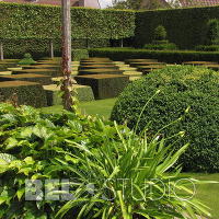 Topiary. Крис Геселен  