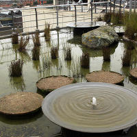 Jellicoe  Roof  Garden