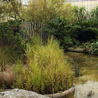 Jellicoe  Roof  Garden