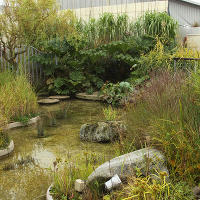 Jellicoe  Roof  Garden