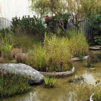 Jellicoe  Roof  Garden