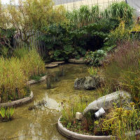 Jellicoe  Roof  Garden