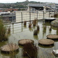 Jellicoe  Roof  Garden